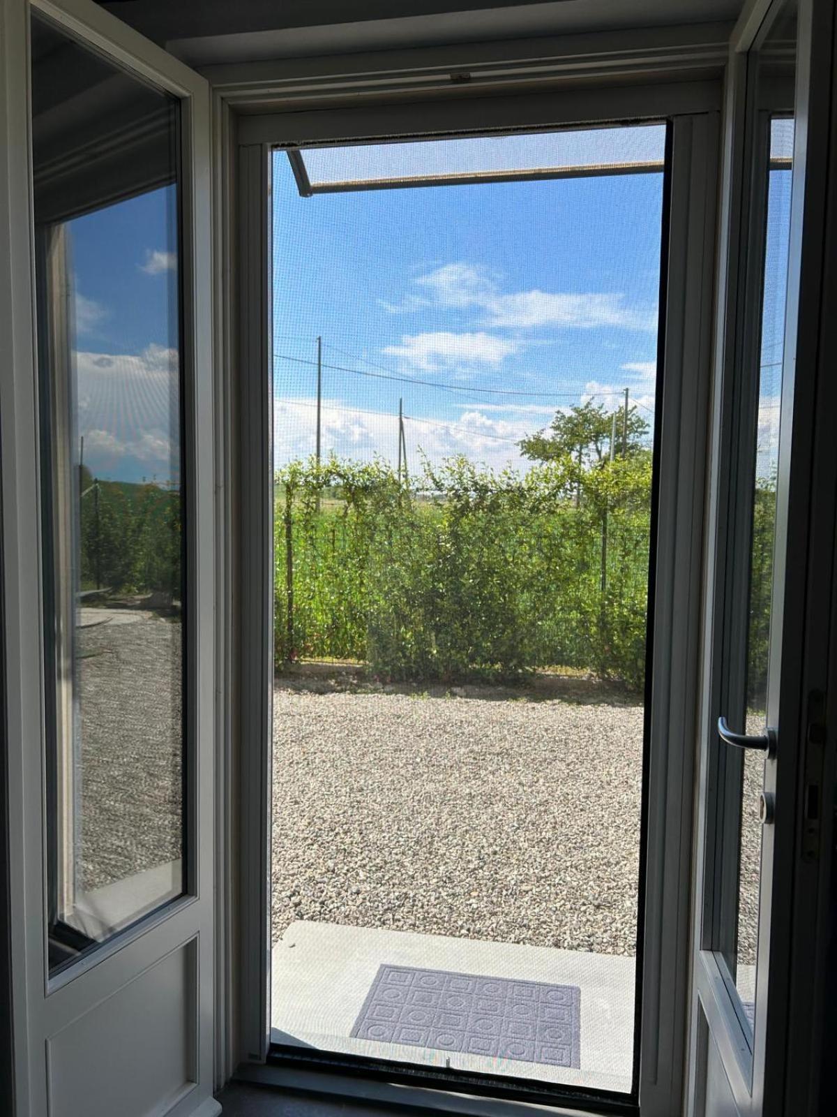 B&B Il Gelsomino Fontanelle di Roccabianca Bagian luar foto